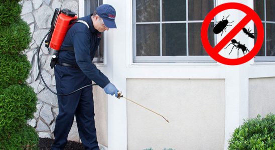 Payamlı Böcek İlaçlama böcek ilaçlama ve haşere kontrolü — ilaclama-tr.com